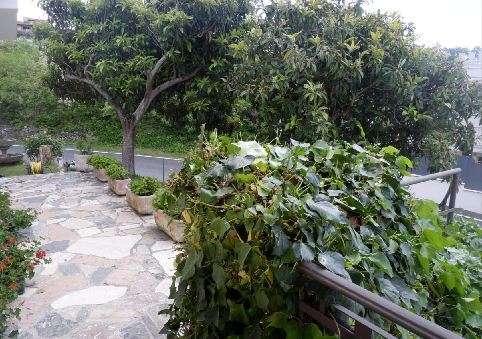 Rivoli Veronese L'Edera Appartamento מראה חיצוני תמונה